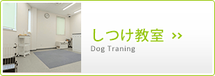 banner-dogtraning_11
