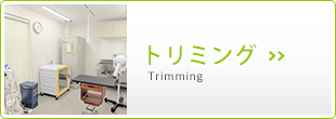 banner-trimming_11
